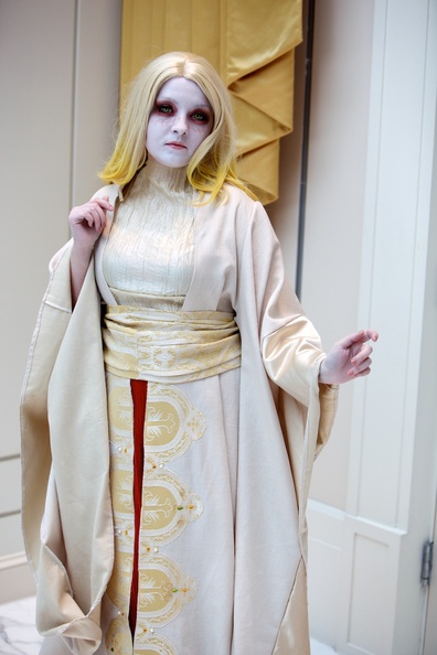 katsucon 20140215 174811 0813