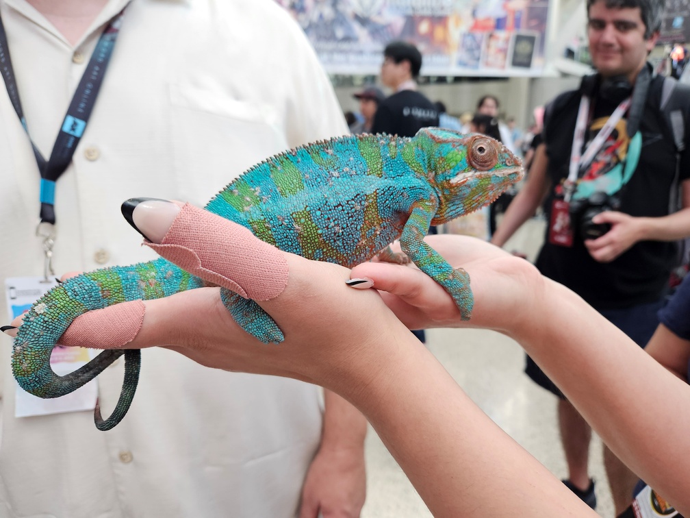 animeexpo 20250706 152439 0110